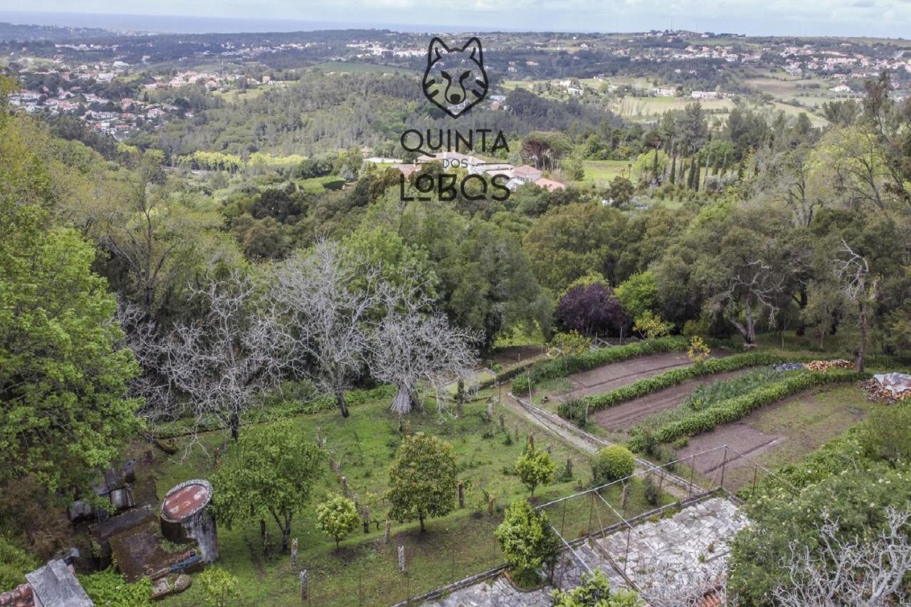 Quinta Dos Lobos Boutique Hotel - Nature Experience Sintra Kültér fotó