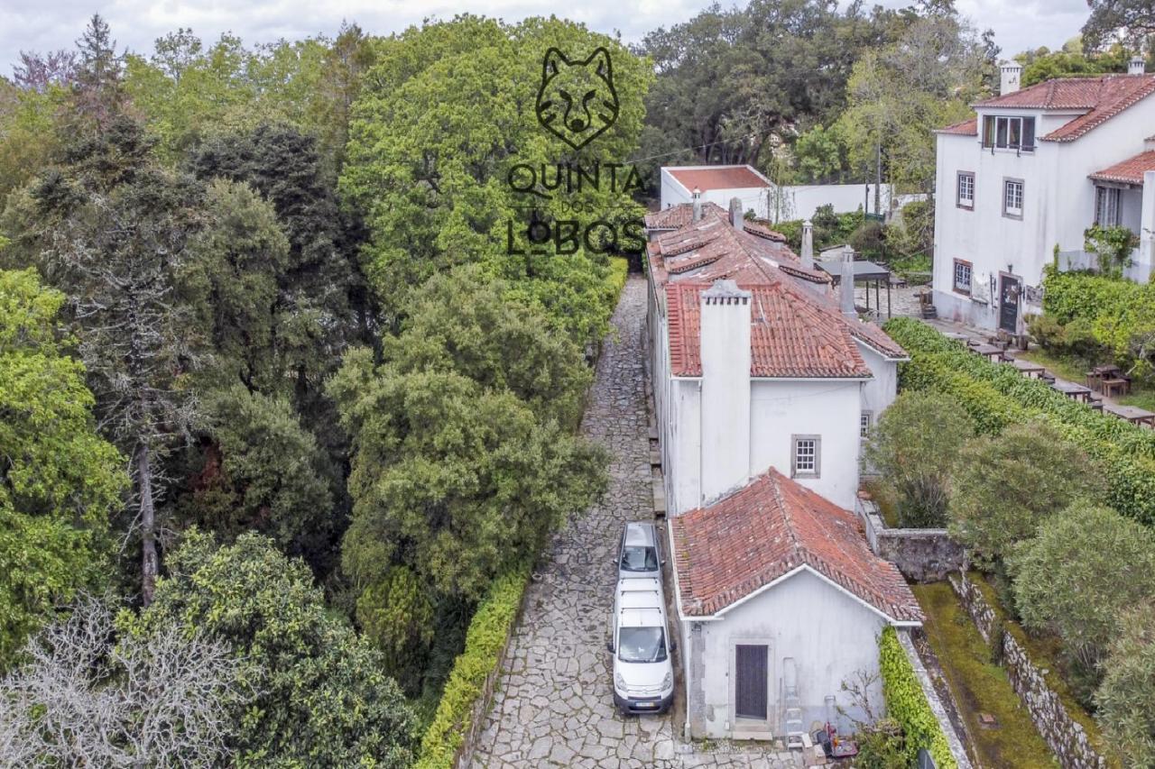Quinta Dos Lobos Boutique Hotel - Nature Experience Sintra Kültér fotó
