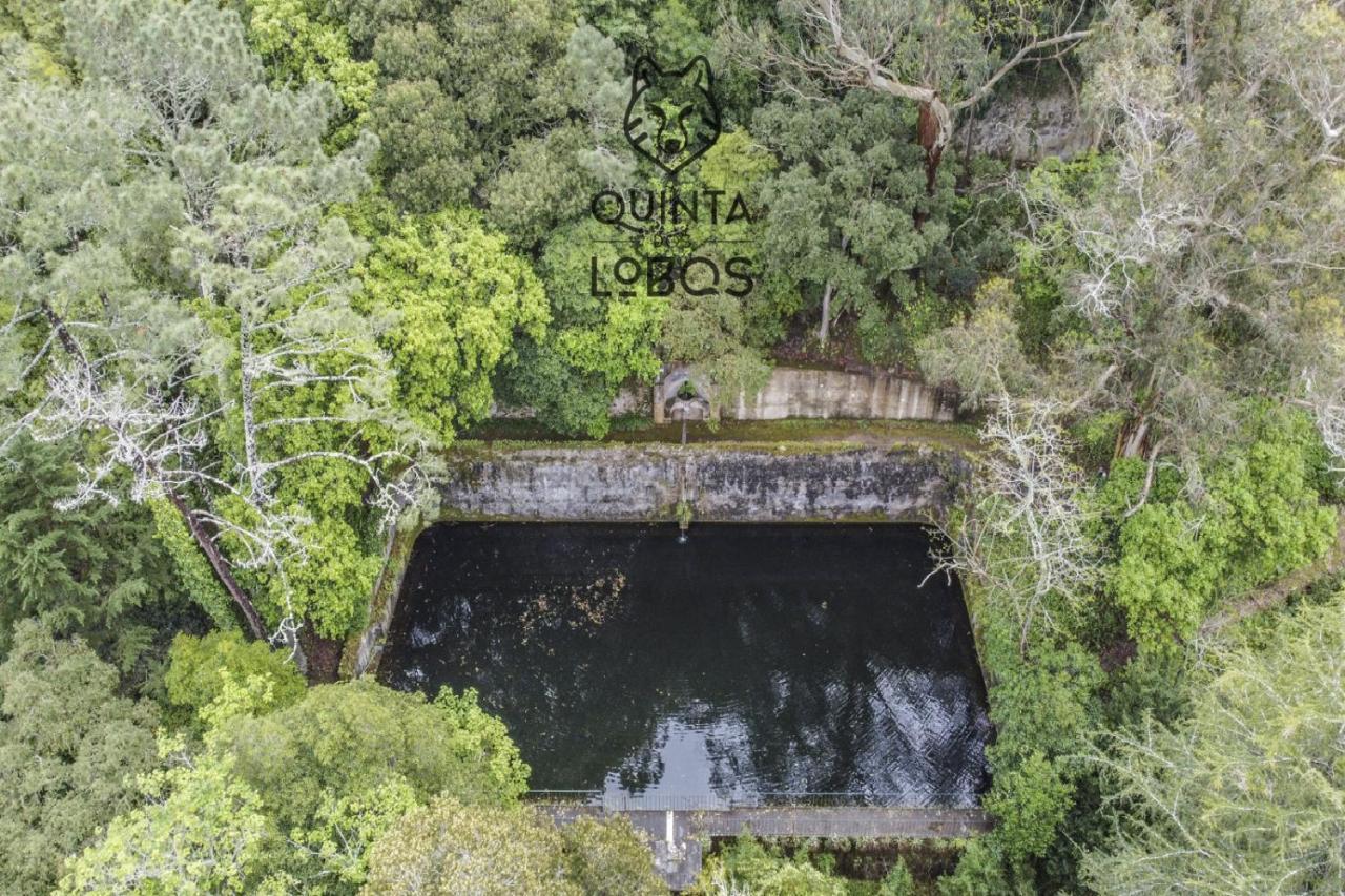 Quinta Dos Lobos Boutique Hotel - Nature Experience Sintra Kültér fotó