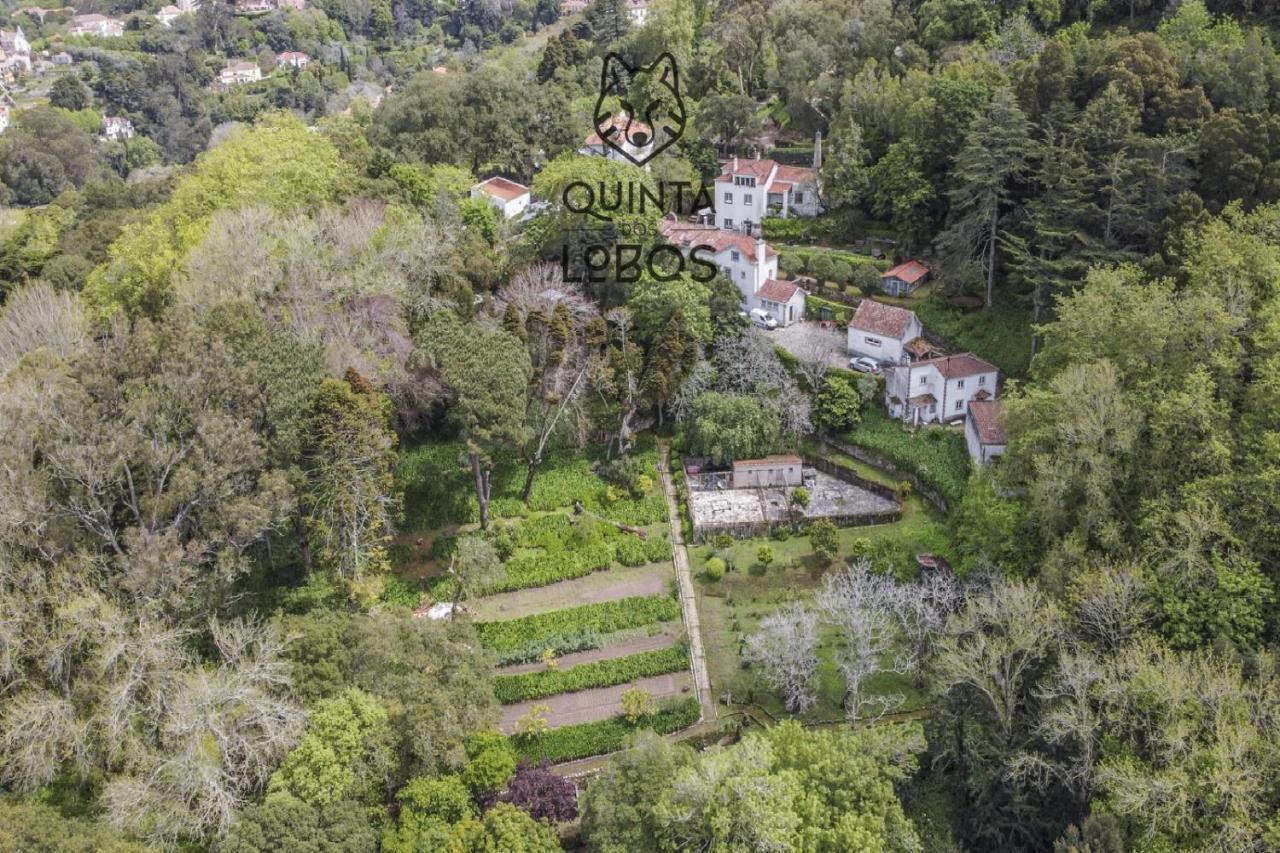 Quinta Dos Lobos Boutique Hotel - Nature Experience Sintra Kültér fotó