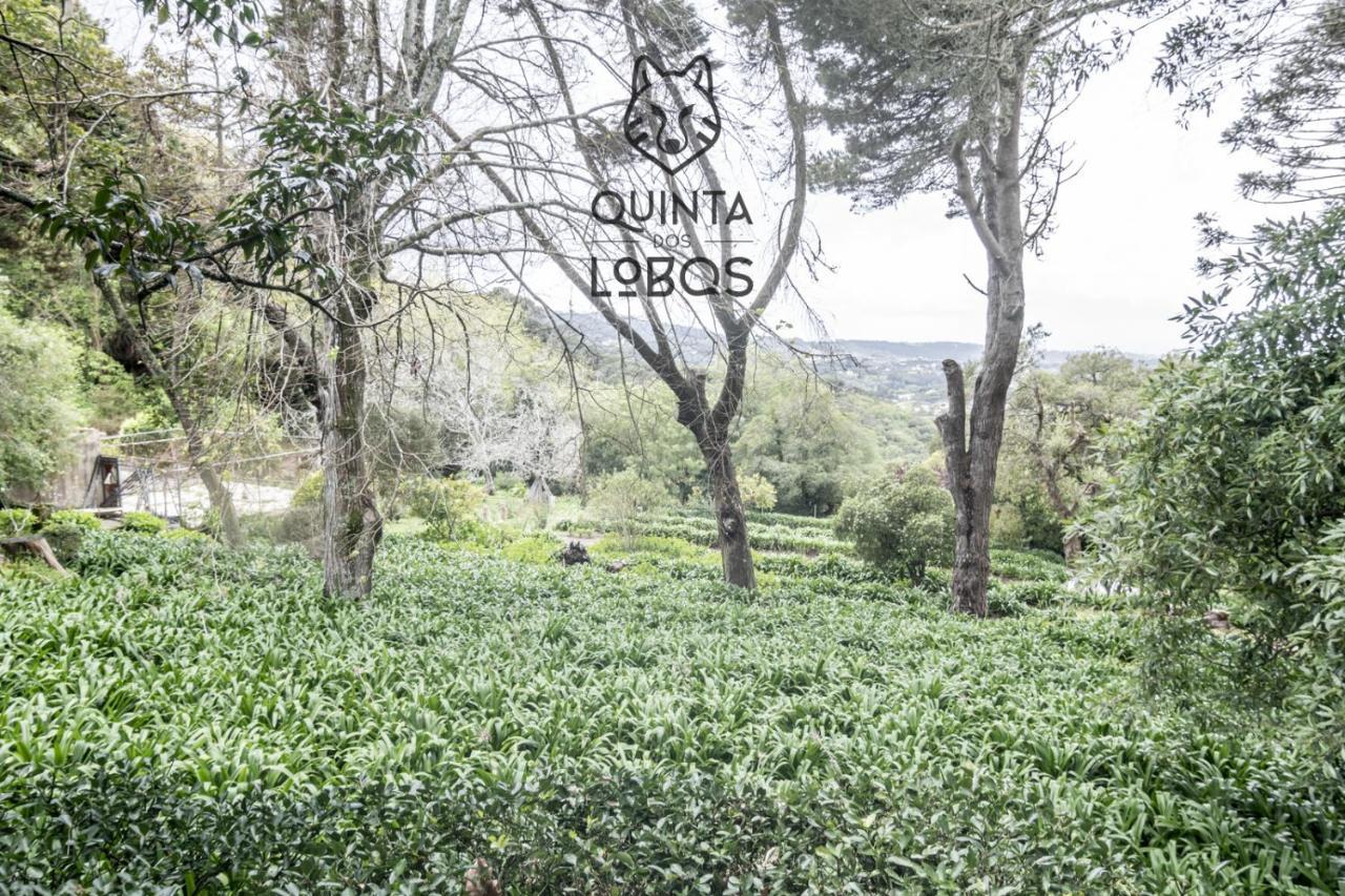 Quinta Dos Lobos Boutique Hotel - Nature Experience Sintra Kültér fotó
